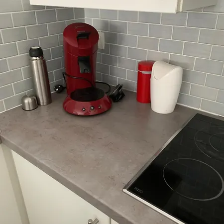 Emiel Centrum Met Garage Остенде